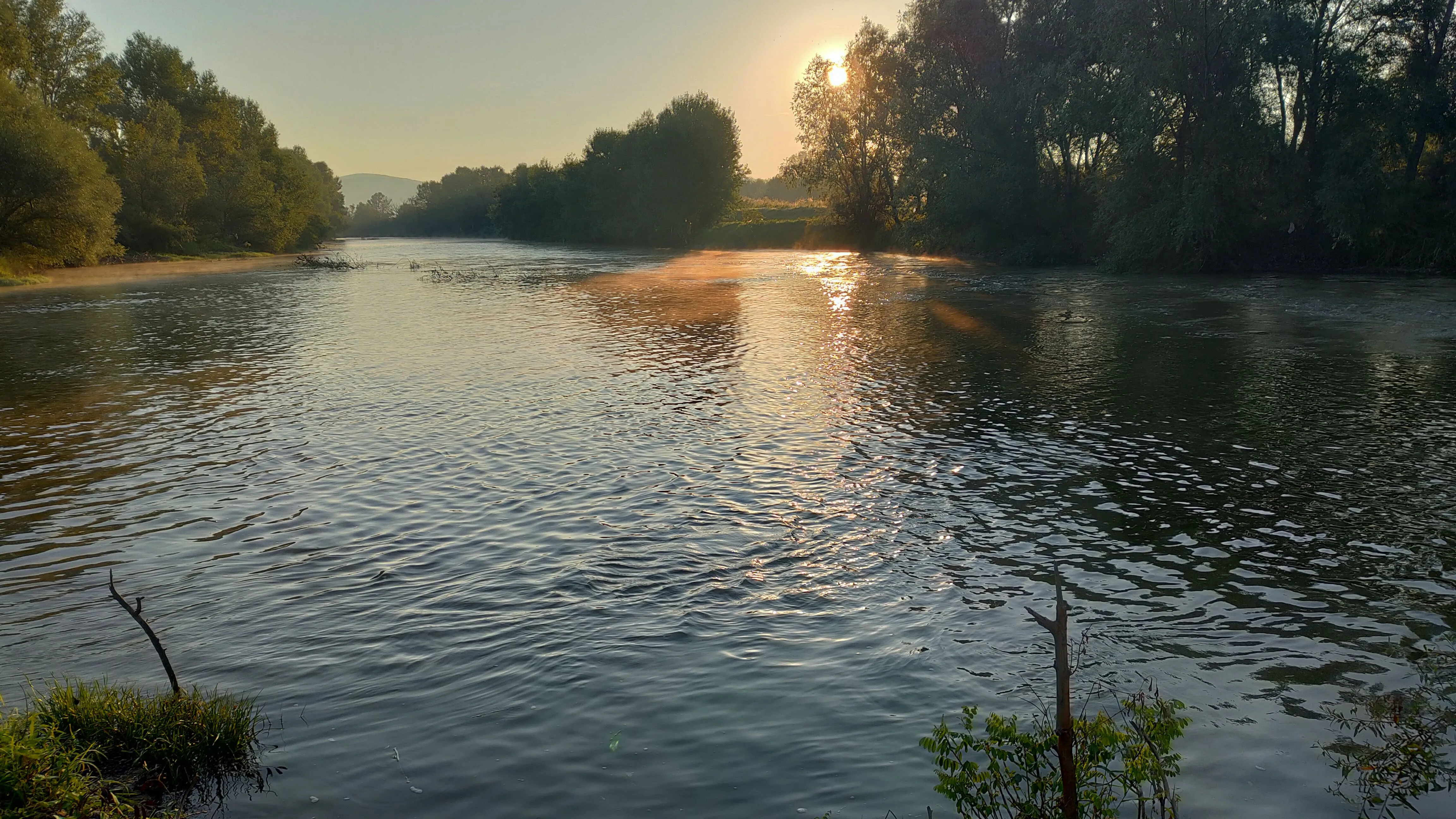 sunt aute reprehenderit exercitation cillum culpa dolor dolor commodo ea ipsum tempor nisi aliqua.